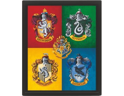 Pyramid International 3D obraz Harry Potter farebný