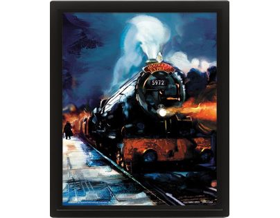 Pyramid International 3D obraz Harry Potter Rokfortský expres - Poškodený obal