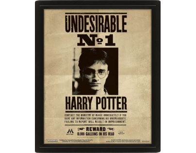 Pyramid International 3D obraz Harry Potter Sirius - Poškodený obal