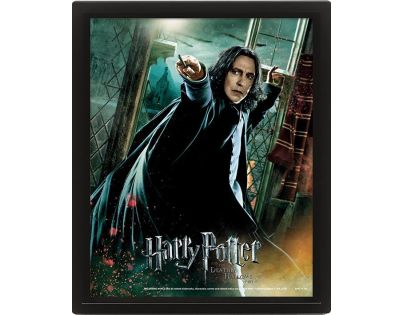 Pyramid International 3D obraz Harry Potter Snape - Poškodený obal