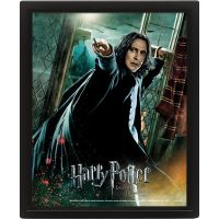 Pyramid International 3D obraz Harry Potter Snape - Poškodený obal