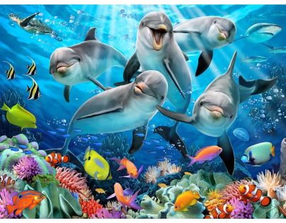 3D Puzzle Delfíny 63 dielikov