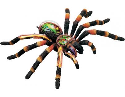 HM Studio 4D Anatomický model Tarantula 33 dielikov