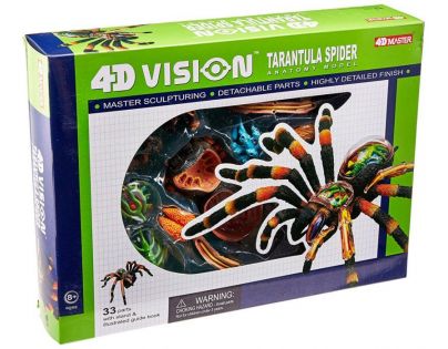 HM Studio 4D Anatomický model Tarantula 33 dielikov