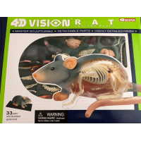 HM Studio 4D Anatomický model  Krysa 3