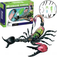 HM Studio 4D Anatomický model  Škorpión 2