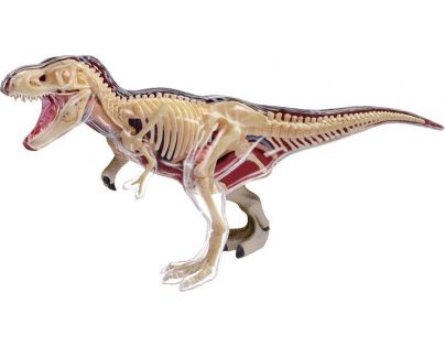 4D HM Studio Anatomický model T-Rex