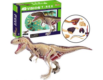 4D HM Studio Anatomický model T-Rex