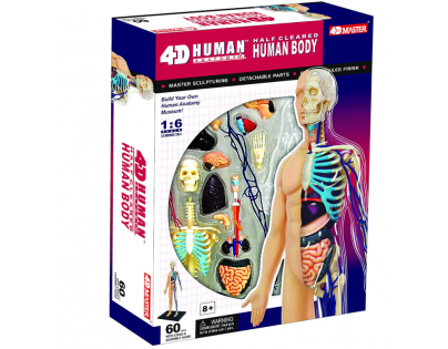 4D Anatómia človeka - telo