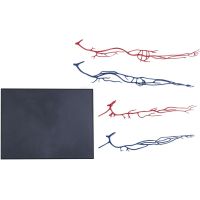 4D Master - Anatómia človeka - 1 polovina tela 33 cm - Poškodený obal 6