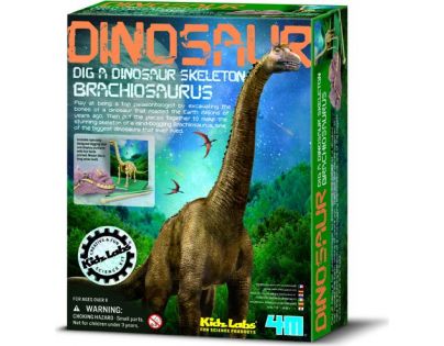 4M Brachiosaurus skládací kostra