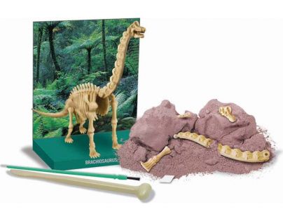 4M Brachiosaurus skládací kostra