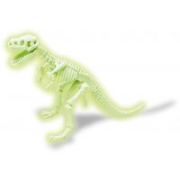 4M Industrial development Dinosaurus skládací kostra Tyrannosaurus Rex 2