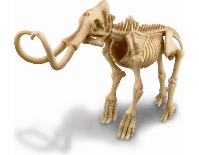 4M Mamut skládací kostra