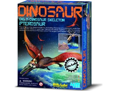 4M Pterosaurus skládací kostra