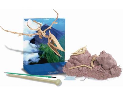 4M Pterosaurus skládací kostra
