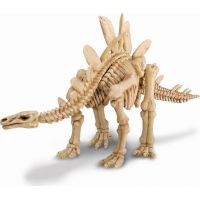 4M Stegosaurus skládací kostra 2