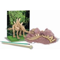 4M Stegosaurus skládací kostra 3