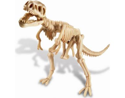 4M T-Rex skládací kostra