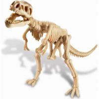 4M T-Rex skládací kostra 2