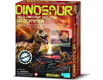 4M Velociraptor skládací kostra