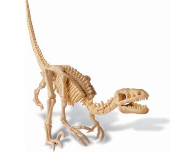 4M Velociraptor skládací kostra