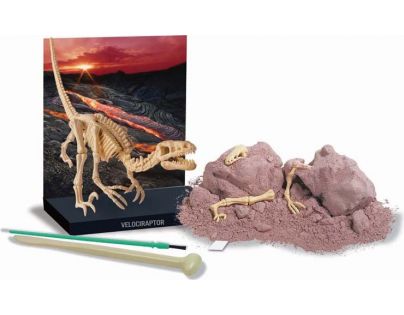4M Velociraptor skládací kostra