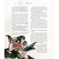 Albatros Harry Potter a Kámen mudrců ilustrované vydání CZ verzia 4