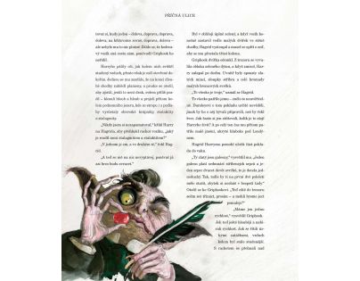Albatros Harry Potter a Kámen mudrců ilustrované vydání CZ verzia