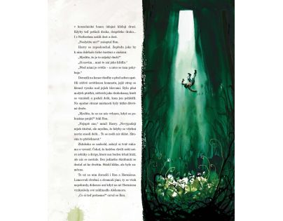 Albatros Harry Potter a Kámen mudrců ilustrované vydání CZ verzia