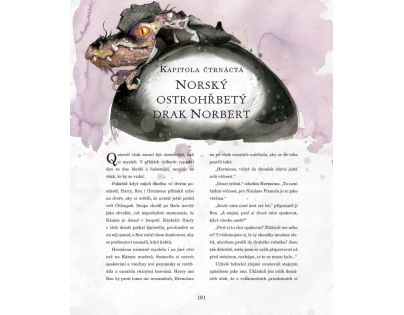 Harry Potter a Kámen mudrců - Joanne K. Rowlingová