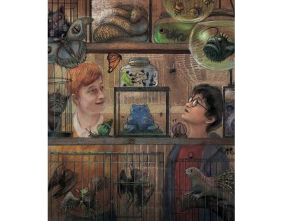 Albatros Harry Potter a vězeň z Azkabanu ilustrované vydanie CZ verzia