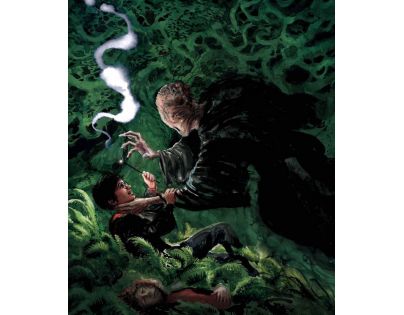 Albatros Harry Potter a vězeň z Azkabanu ilustrované vydanie CZ verzia