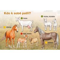 Kdo k sobě patří? - Jan Hošek (Albatros 1011028321) 3