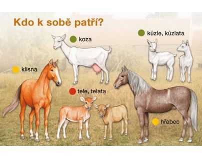 Kdo k sobě patří? - Jan Hošek (Albatros 1011028321)