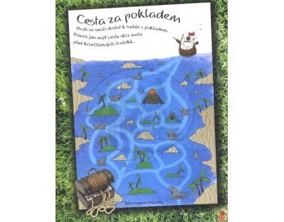 Pro piráty - Andrea Pinningtonová (COOBOO 1013001161)