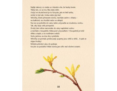 Albatros Moja prvá záhradka CZ verzia - Poškodený obal