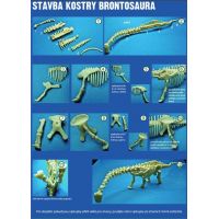 Albi 84658 Archeolog. sada Brontosaurus 6
