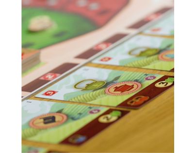 Albi Čajová záhrada