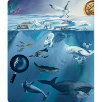 Albi Kúzelné čítanie Kniha Tajomstvá morí a oceánov 4