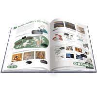 Albi Kúzelné čítanie Matematika hravo 5