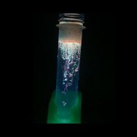 Albi Neónové experimenty - 2. vydanie 4