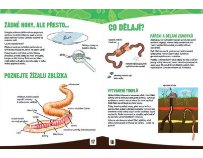 Albi 84661 Obdivuhodný svět žížal