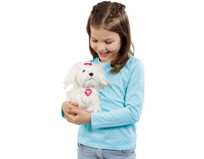 Alltoys Pejsek Fluffy na vodítku