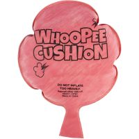 Alltoys Prdiaci vankúšik 3