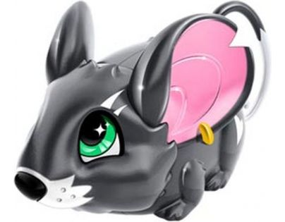 Amazing Zhus Myška kouzelnice - Kardini