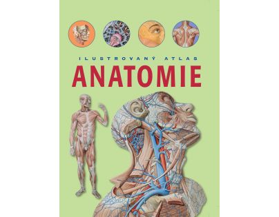 Anatómia Ilustrovaný atlas
