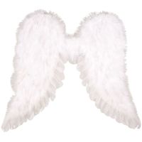 Anděl Přerov Anjelské krídla 45 x 39 cm