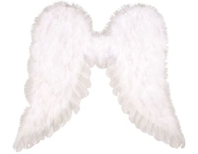 Anděl Přerov Anjelské krídla 45 x 39 cm