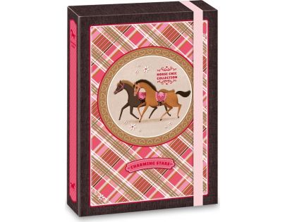 Ars Una Box na zošity Charming Stars kone A4